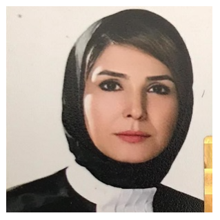 وکیل سمیه حسینی دخت