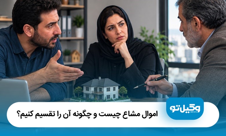 اموال مشاع چیست و چگونه آن را تقسیم کنیم؟