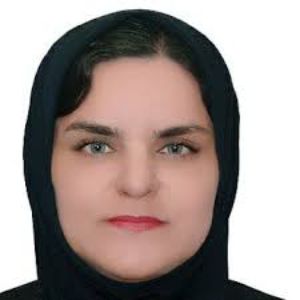 وکیل عالم شریفی