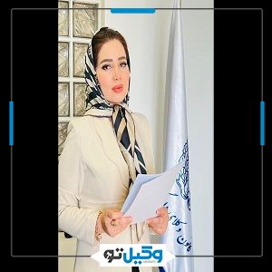 موسسه حقوقی پرگاس ویژن